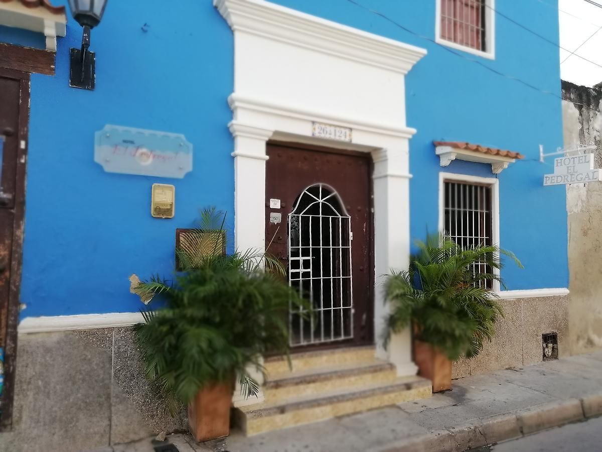 El Pedregal